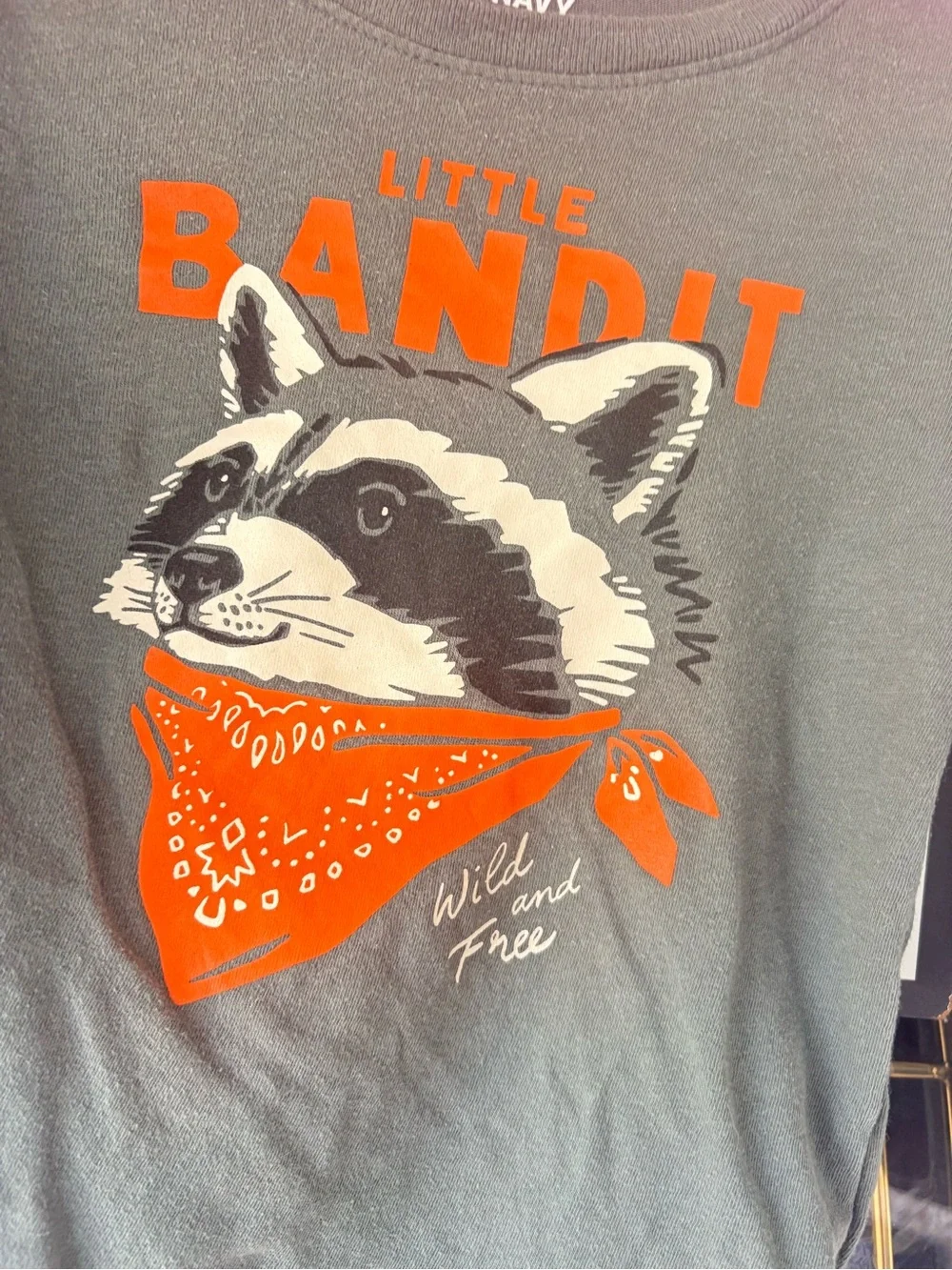 Old Navy Gray Long-Sleeve Tee with Orange Raccoon Graphic